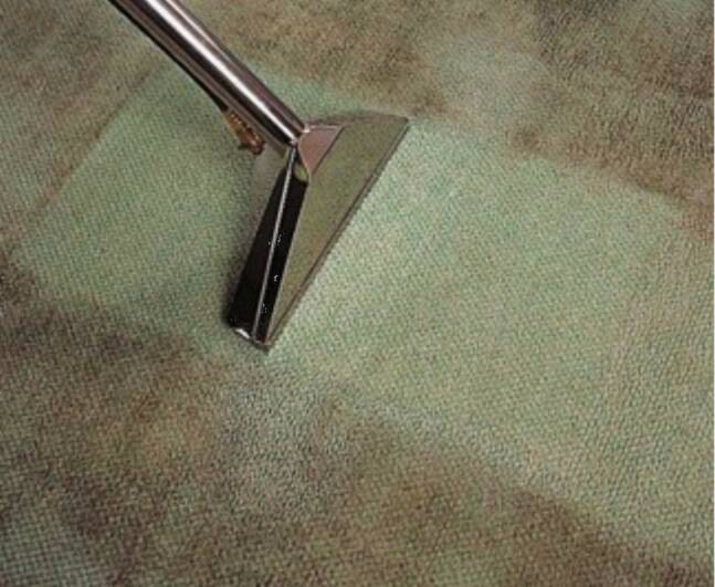 carpet cleaning parramatta