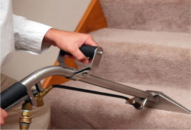 CARPET CLEANING HORSLEY PARK